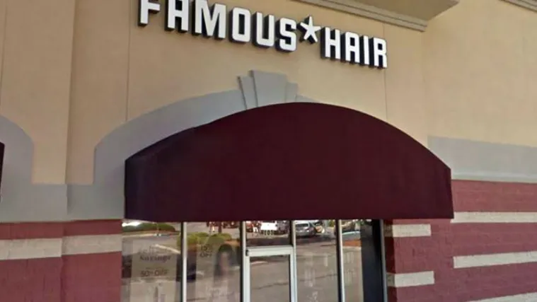 Famous Hair Prices